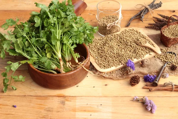 Dry coriander seeds and fresh coriander green.