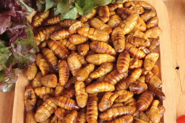 Silkworm pupae on wood background