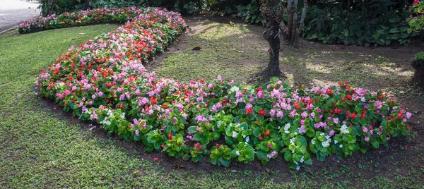 Garden of Doi Tung Royal Villa, Chiang Rai, Thailand