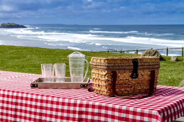 Summer Picnic at Pacific Ocean Park