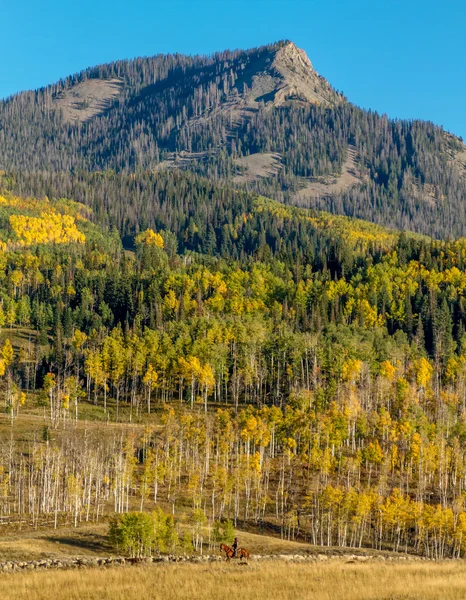 Fall in Steamboat Springs Colorado