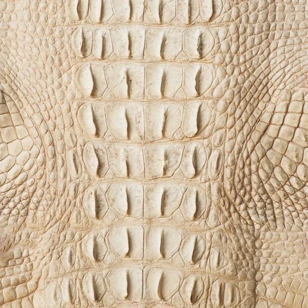 Golden crocodile skin texture