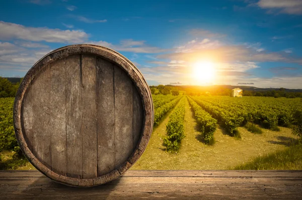 Red wine with barrel on vineyard in green Tuscany, Italy