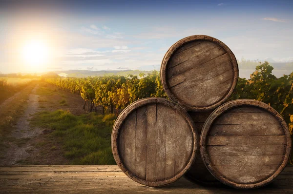 Red wine with barrel on vineyard in green Tuscany, Italy