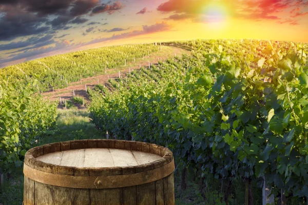 Red wine with barrel on vineyard in green Tuscany, Italy