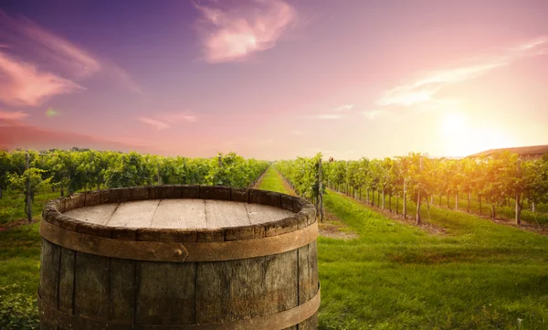 Red wine with barrel on vineyard in green Tuscany, Italy