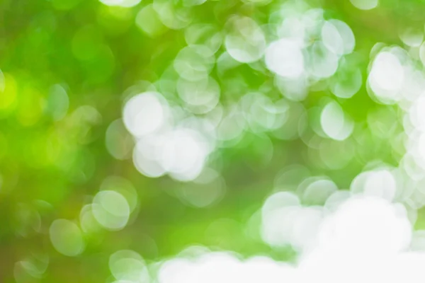 Abstract blurred green bokeh leaves background and texture