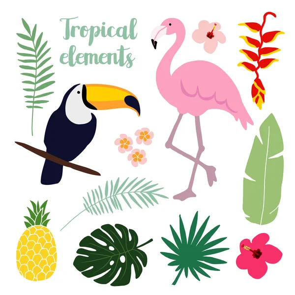 Summer tropical elements. Toucan and flamingo bird. Jungle floral illustrations, palm leaves, vectors