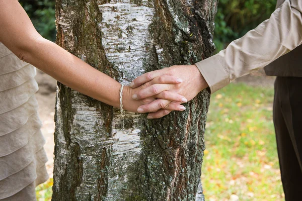 Holding hands: couple in love embracing a tree.