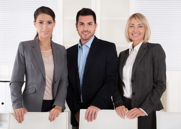 Portrait of three business people: man and woman in a team.