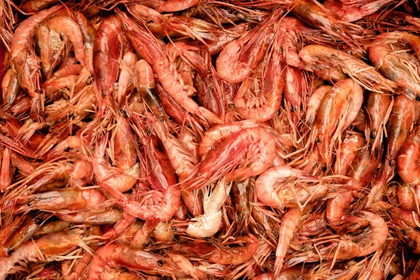 Raw shrimp. Background