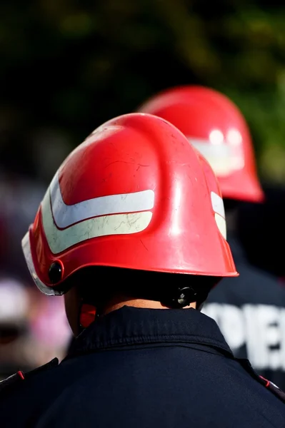 Firefighter helmets seen from behind