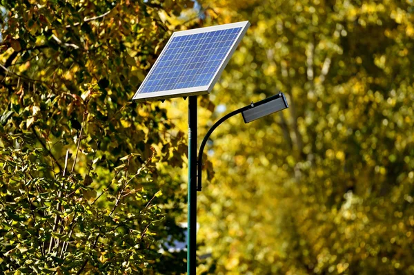Solar street lamp in a park in autumn