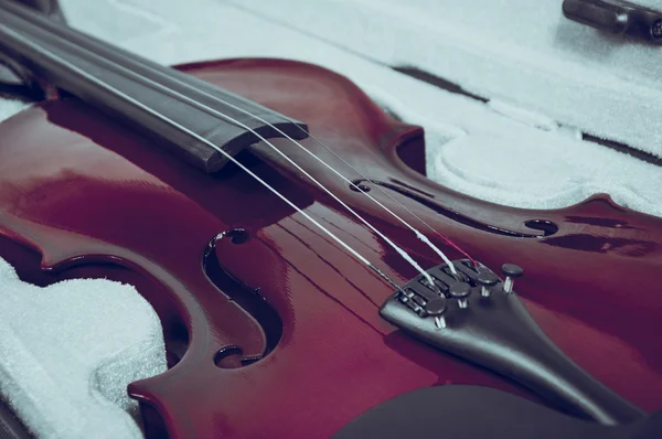 Closeup of beautiful violin in a case