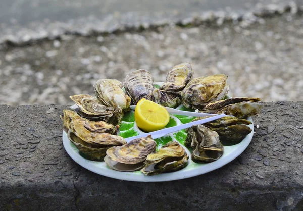 France, oyster plate
