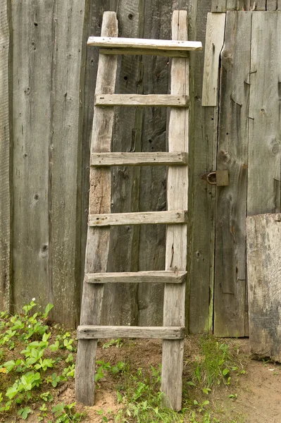 Old wooden ladder propped against the rural barn