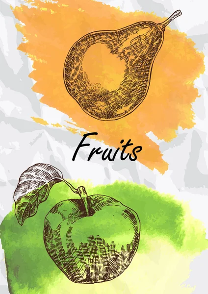 Pear and apple fruits vector illustration.