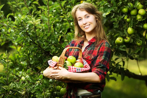 Woman with basket of apples in a garden.