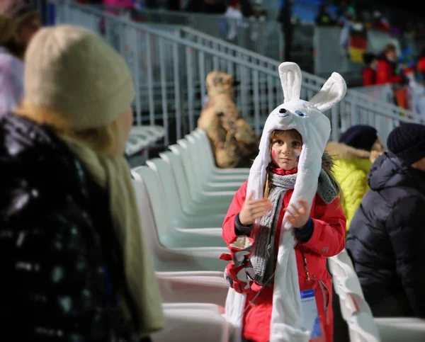 Olympic games. Winter 2014. Sochi