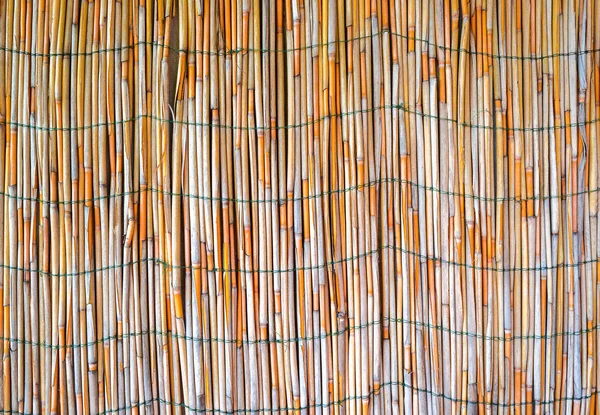 Background from bamboo sticks