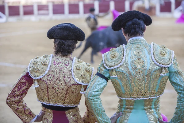 Spanish Bullfighters looking bullfighting, the Bullfighter on the left dressed in suit of lights of colors red and gold and the right color pistachio and gold in Ubeda, Spain