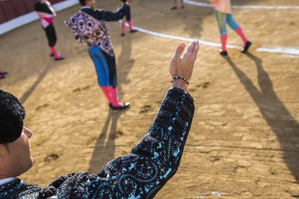 Bullfighters at the paseillo or initial parade, Andujar, Jaen, S