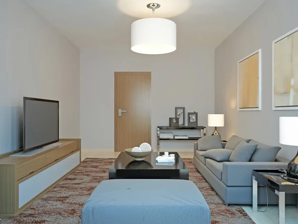Roomy living room minimalism