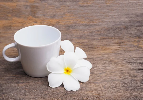 White plumeria flower and empty cup of coffee