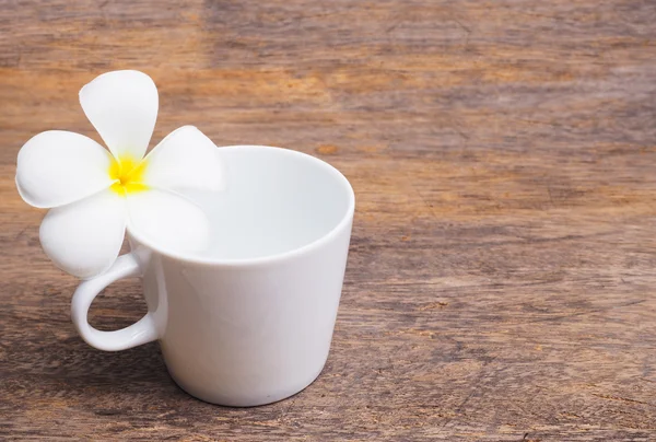White plumeria flower and empty cup of coffee