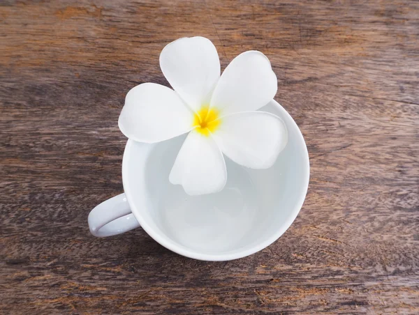 White plumeria flower and empty cup of coffee