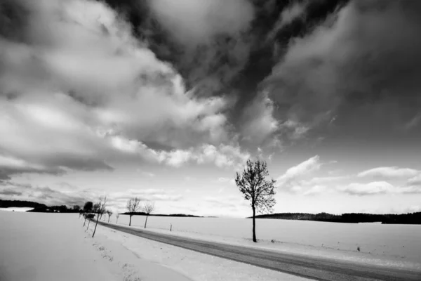 Winter Landscape with Road - Dramatic Sky and Tree