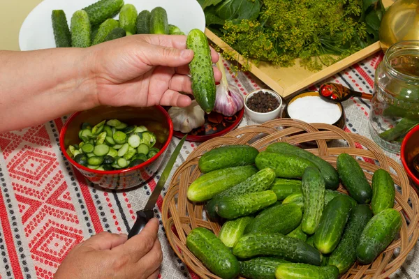 Pickling cucumbers, pickling - hands close-up, cucumber, herbs,