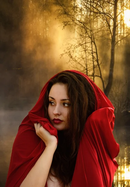 Beautiful young woman in fantasy style. Girl in a red dress. Book cover