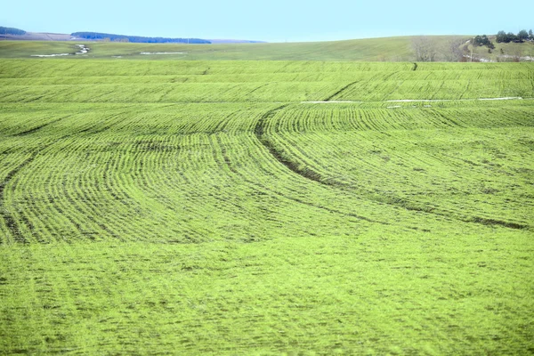 Arable land after the melting snow