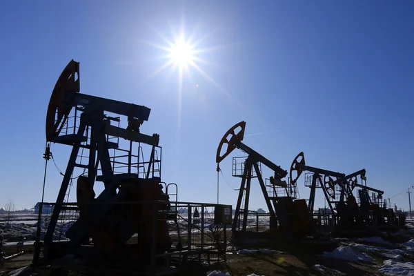 Oil pumps in a field in spring