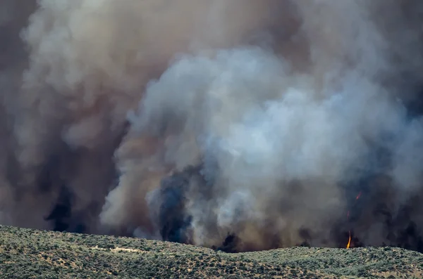 Dense White Smoke Rising from the Raging Wildfire