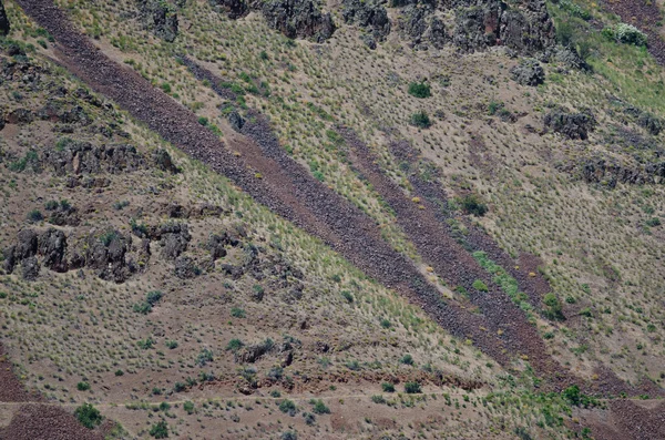 Nature Abstract: Scars of Landslides on the Slopes of Hells Canyon