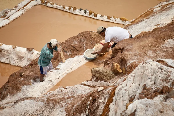 MARAS, PERU-NOVEMBER 26 2011: Two people working together at Salina de Maras, the traditional inca salt field in Maras near Cuzco in Sacred Valley Peru