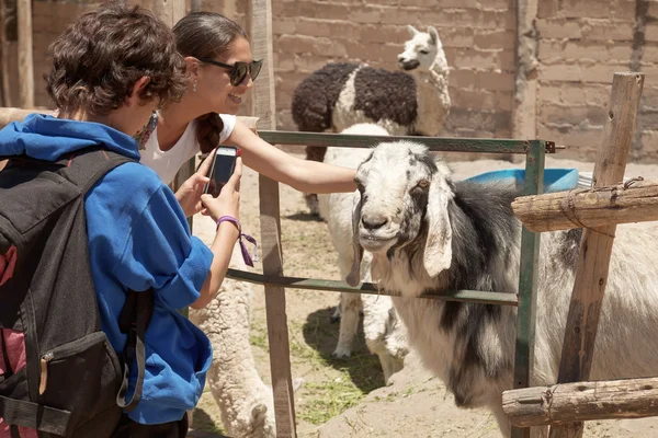 Mom and son interacting with animals in ZOO