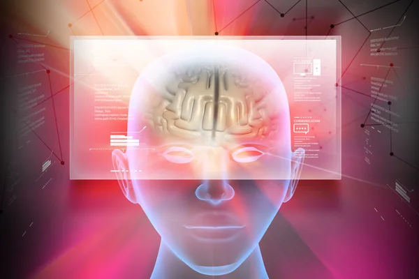 Brain in human head
