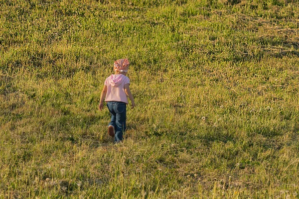 Child goes across the meadow with cut grass