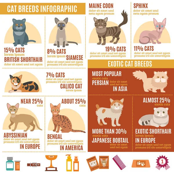 Cats infographics set