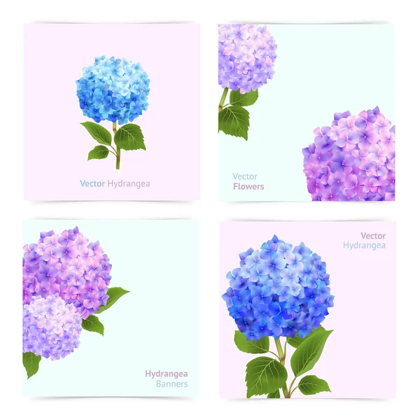 Hydrangea Cards Set