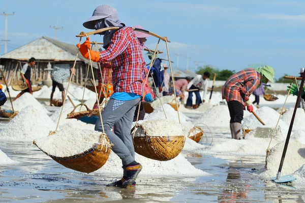 Salt farm