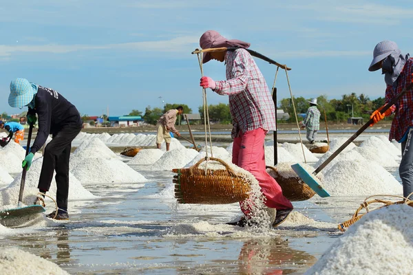 Salt farm