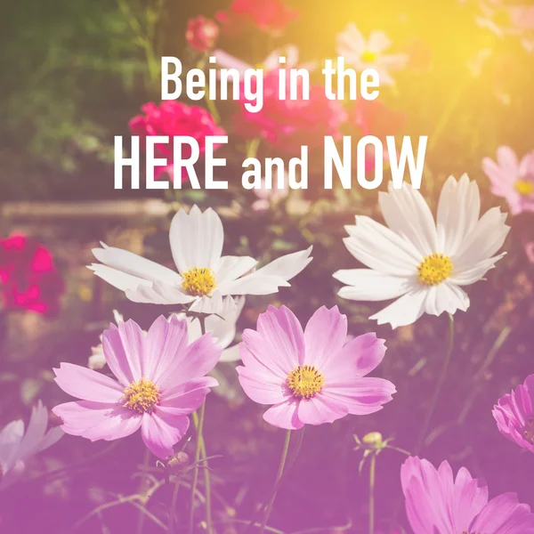 Inspirational quote : Being in the here and now