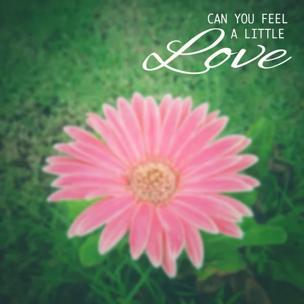 Love quote - can you feel a little love with blur background