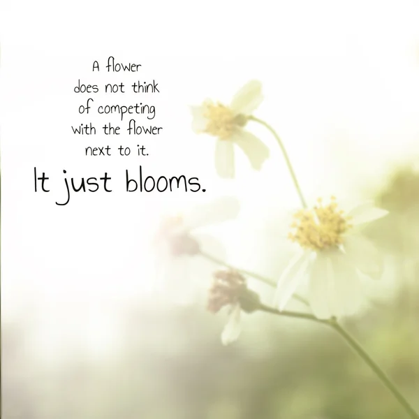 Inspirational quote on blurred background