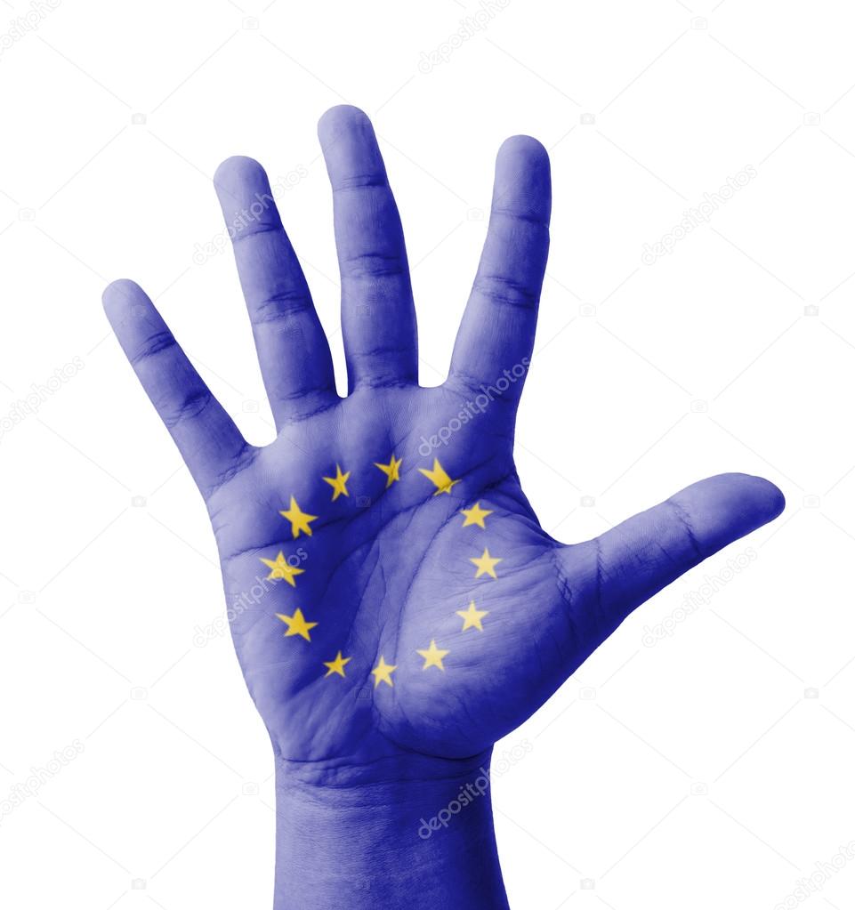the true purpose of the european union European elections will neither lend new credibility to the european parliament nor give the european union greater democratic legitimacy yet the greater objections to the parliament are over its failure to meet its real purpose it is certainly true that the parliament has more. the true purpose of the european union European elections will neither lend new credibility to the european parliament nor give the european union greater democratic legitimacy yet the greater objections to the parliament are over its failure to meet its real purpose it is certainly true that the parliament has more.