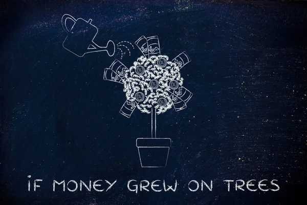 Concept of if money grew on trees